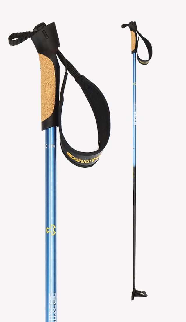 BASTONE CARBON SPEED